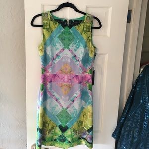 Ivanka Trump water color shift dress